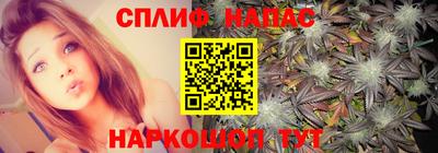 хмурый Пугачёв