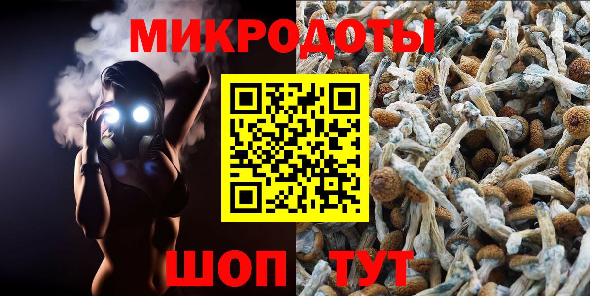 Галлюциногенные грибы прущие грибы Славянск-на-Кубани